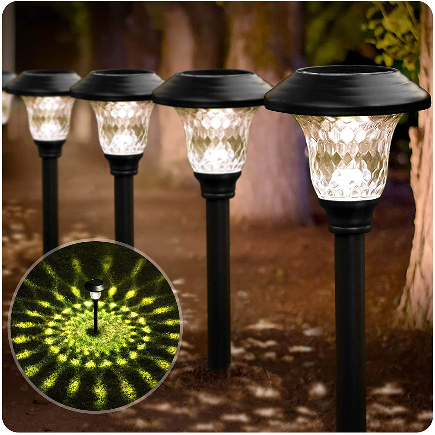 BEAU JARDIN Bright Pathway Solar Lights