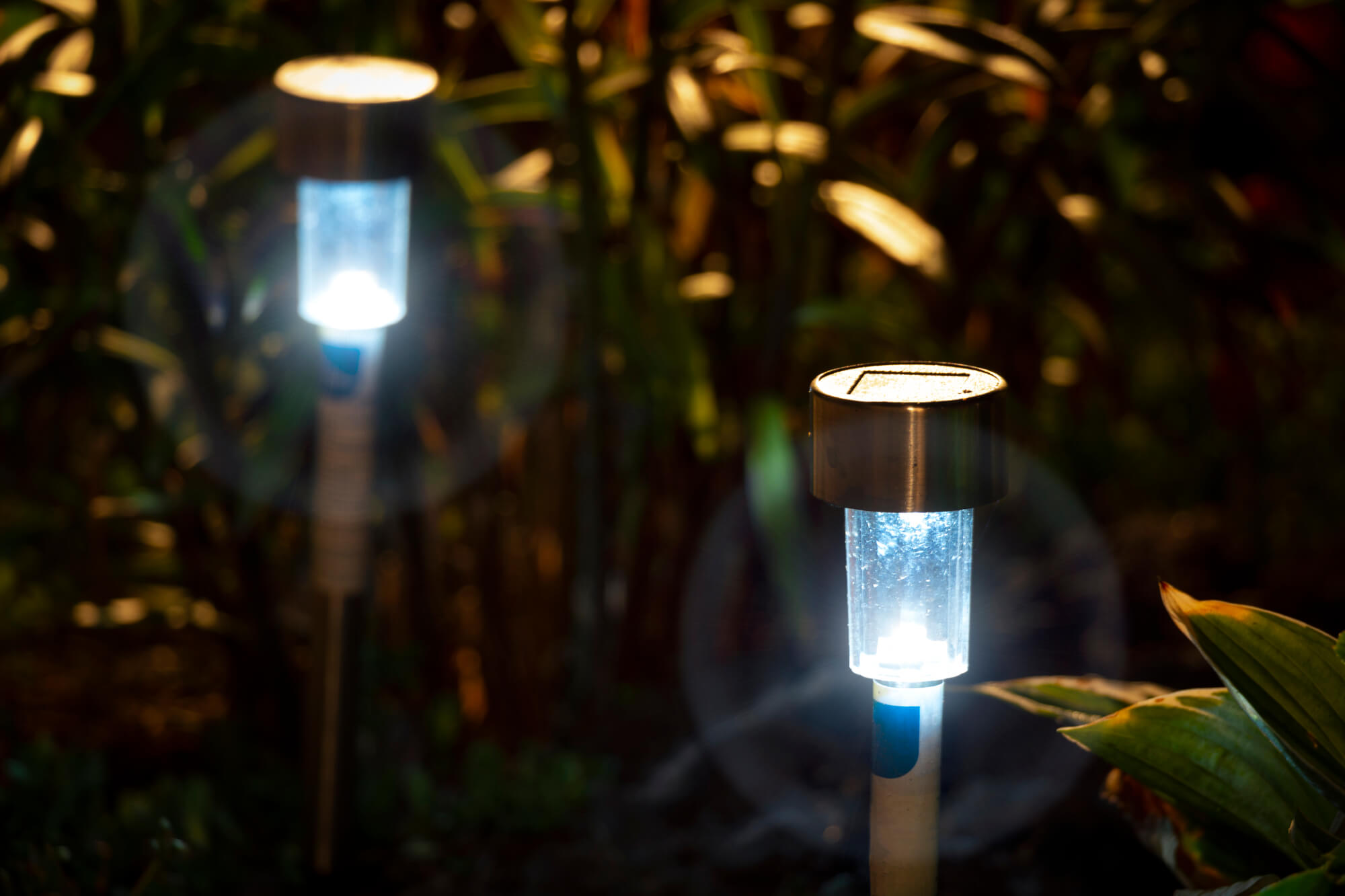 Best Solar Path Lights For Decorative Lights For Beautiful And