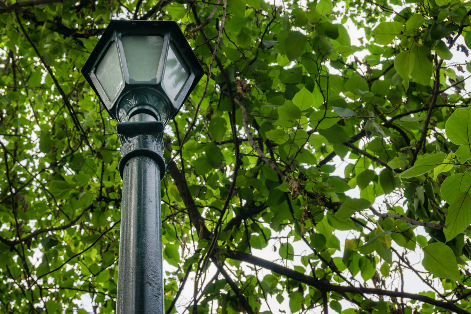 Best Solar Lamp Posts for 2024 - Elegant and Energy-Efficient Lamp ...