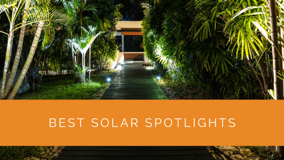 Best Solar Spotlights For 2022, Best Solar Spotlights For Palm Trees