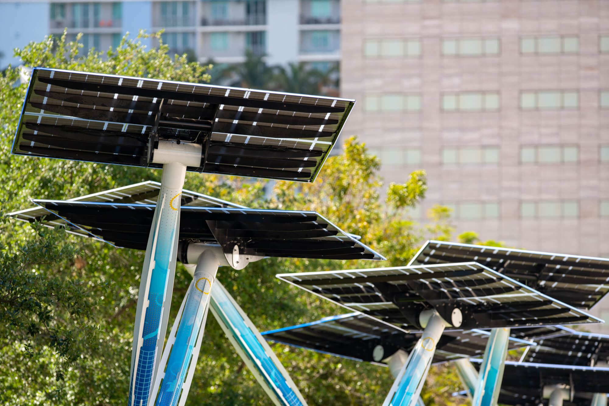 Solar Trees Guide For 2024 - Solar Panels Network USA