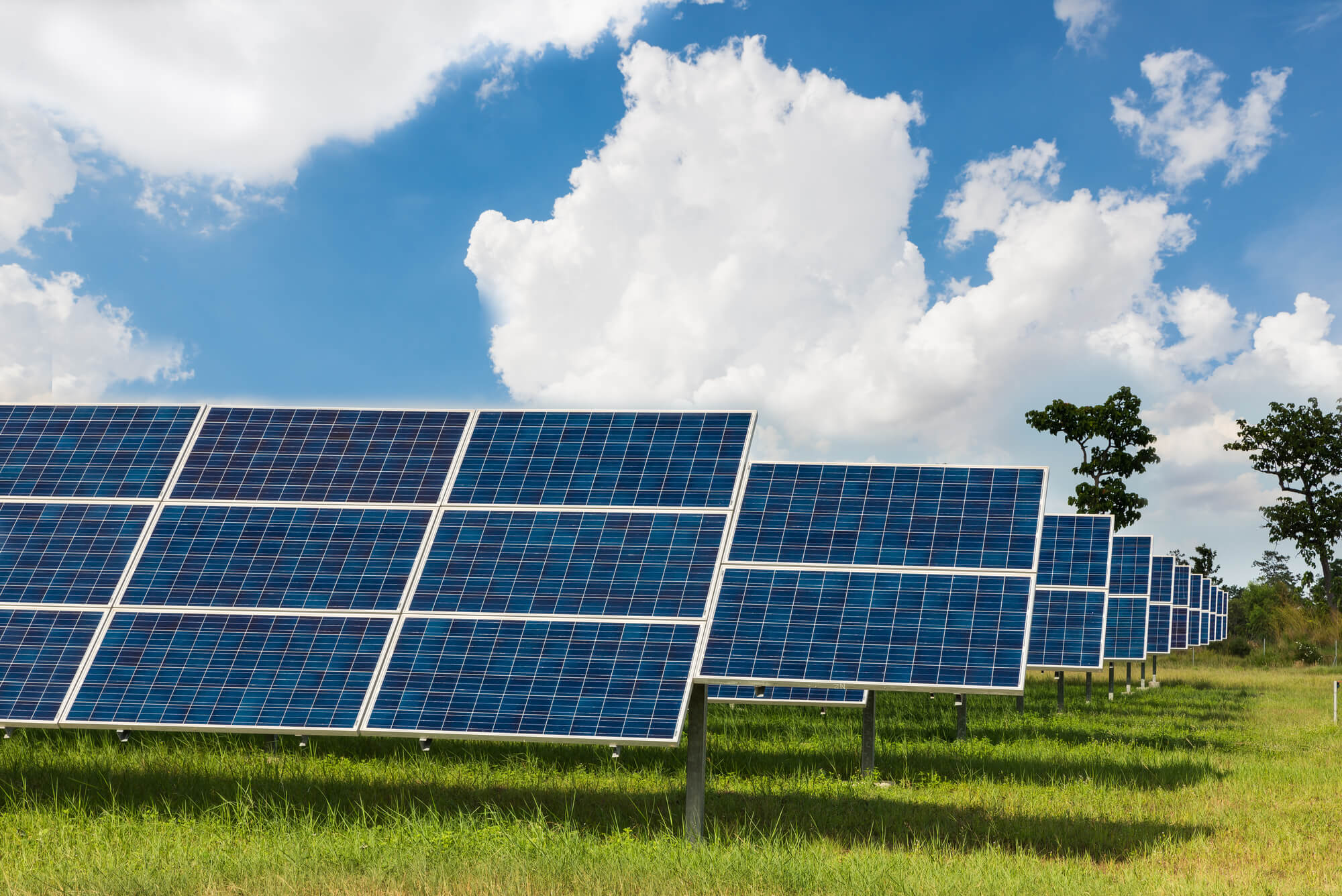 how-much-power-does-a-solar-farm-produce-solar-panels-network-usa