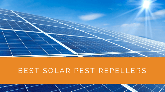 Best Solar Pest Repellers
