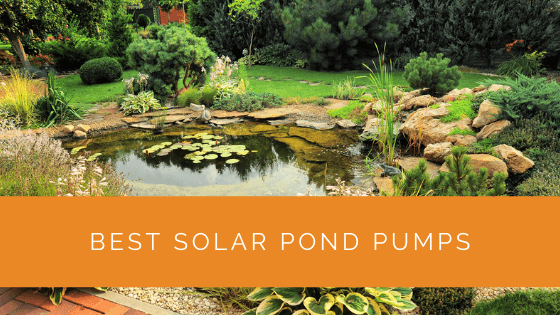 Best Solar Pond Pumps