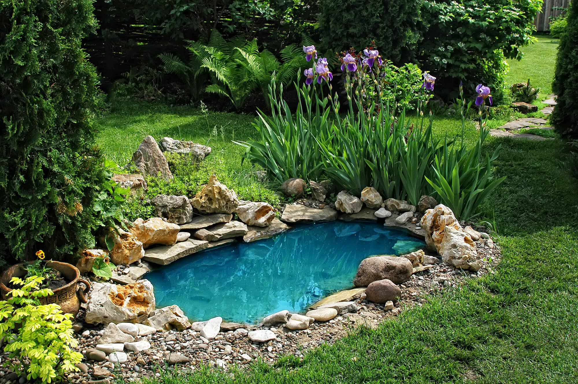 Best Solar Pond Pumps for 2024 EcoFriendly Pumps for Healthy Pond