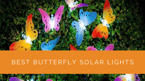 Best Butterfly Solar Lights