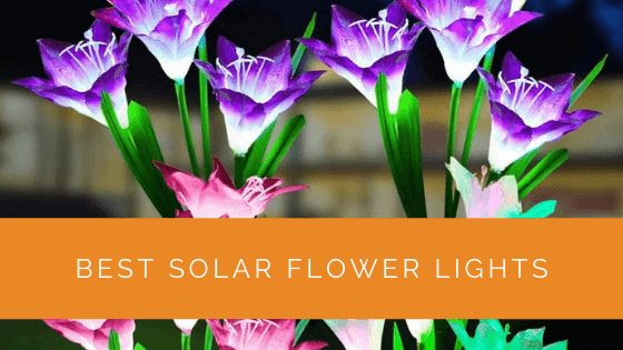 Best Solar Flower Lights