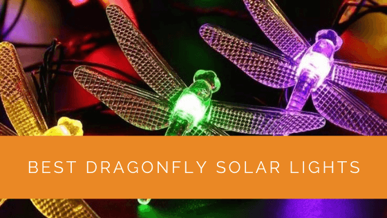 Best Dragonfly Solar Lights