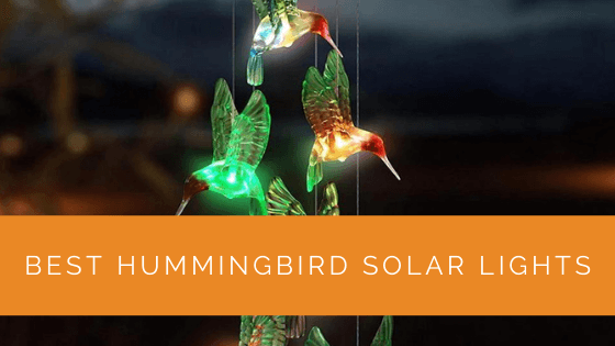 Best Hummingbird Solar Lights