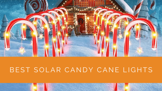 Best Solar Candy Cane Lights