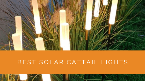 Best Solar Cattail Lights