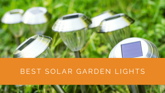 Best Solar Garden Lights