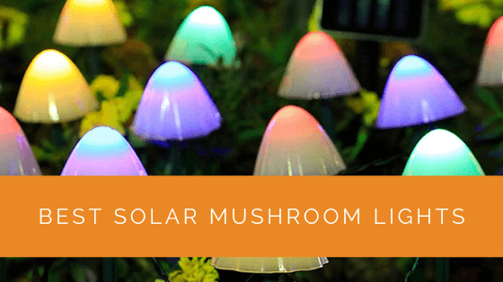 Best Solar Mushroom Lights