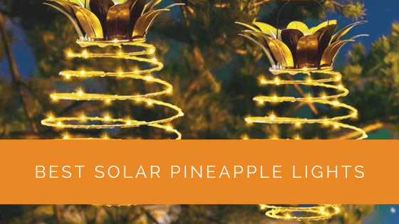 Best Solar Pineapple Lights