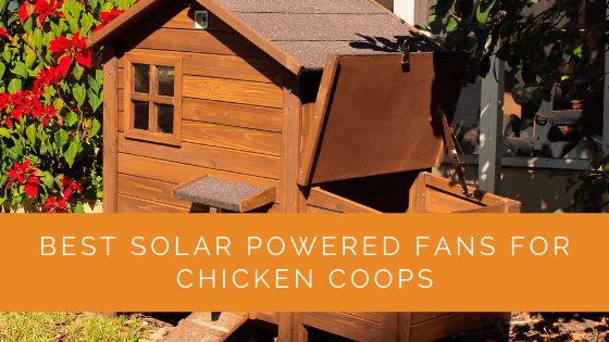 Best Solar Powered Fans for Chicken Coops