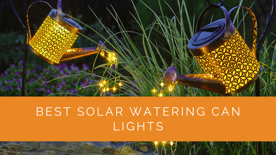 Best Solar Watering Can Lights