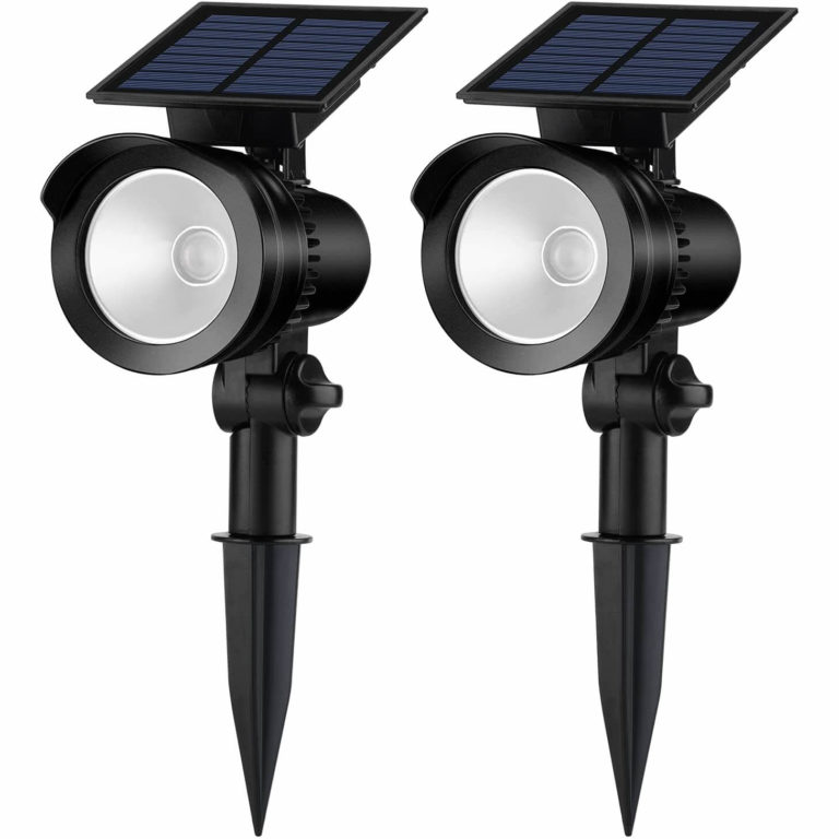 Best Solar Uplights for Trees for 2024 Dramatic Lighting for