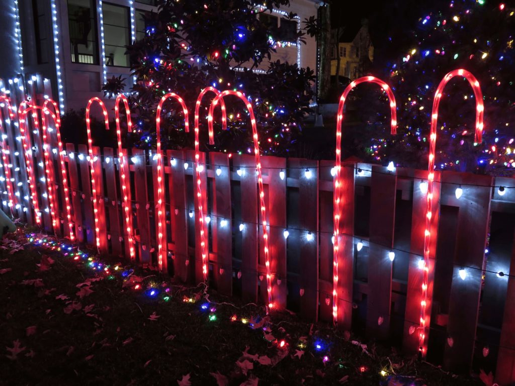 Best Solar Candy Cane Lights for 2024 Festive Lights for Holiday