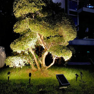 Solar Uplights for Trees