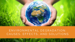 Environmental Degradation: Causes, Effects, and Solutions - Solar ...