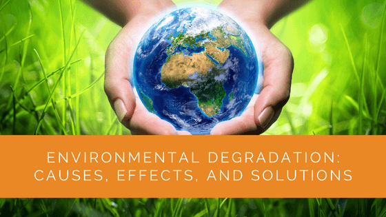 Environmental Degradation Causes, Effects, and Solutions