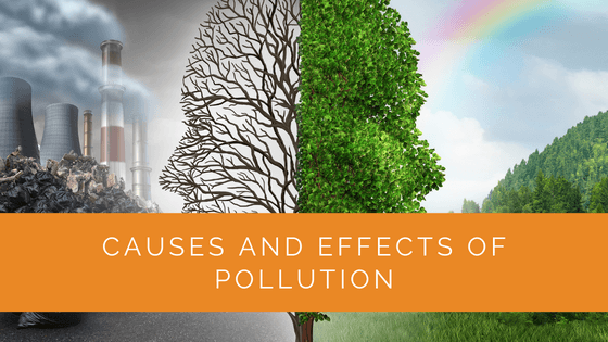Causes and Effects of Pollution
