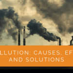 Air Pollution: Causes, Effects, and Solutions