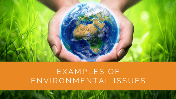 Examples of Environmental Issues