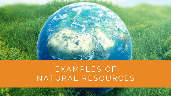 Examples of Natural Resources