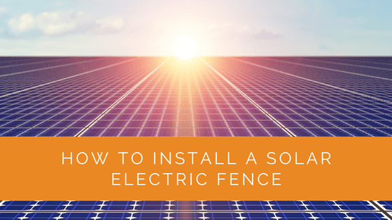 How to Install a Solar Electric Fence