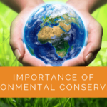 Importance of Environmental Conservation