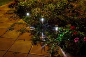 Solar Lights at Night in Garden