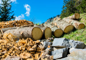 Wood as a Natural Resource
