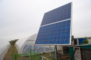 Greenhouse solar panels