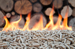 Biomass Energy