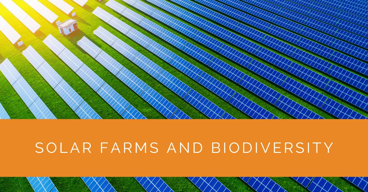 Solar Farms and Biodiversity