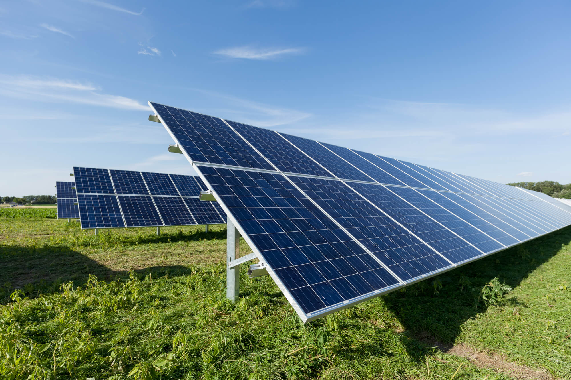 solar panels with MC4 connectors on field installation