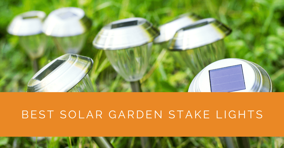Best Solar Garden Stake Lights