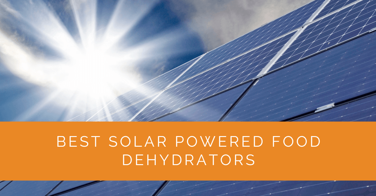 Best Solar Powered Food Dehydrators