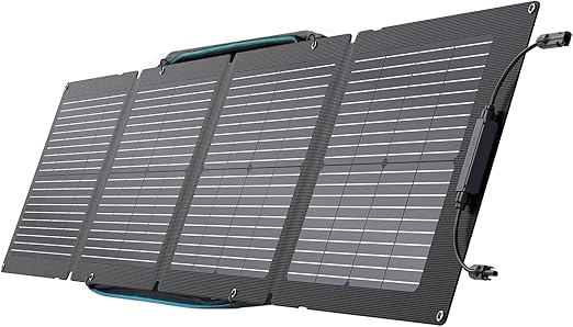 EcoFlow 110W Portable Solar Panel with Carry Case