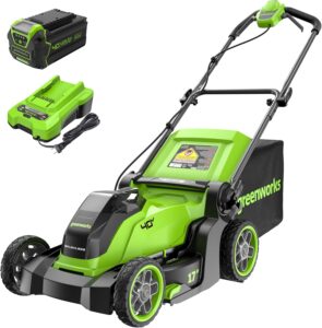 3. EcoFlow DELTA Pro + Greenworks 40V Cordless Mower