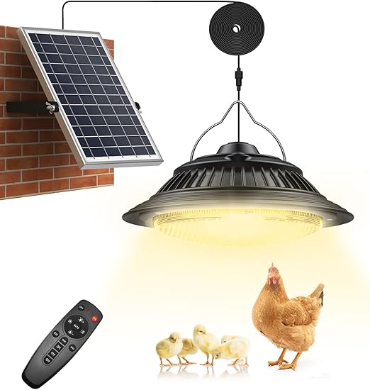 SunBonar Solar Pendant Coop Light