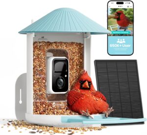 NETVUE Birdfy Solar 2K Smart Bird Feeder