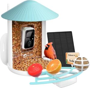 NETVUE Birdfy Pro Smart Bird Feeder