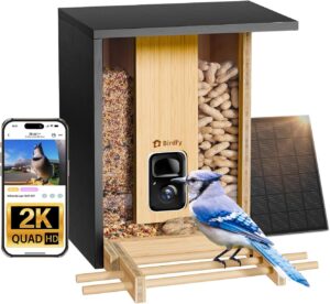 NETVUE Birdfy Solar Wood 2K Bird Feeder