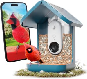 Bird Buddy PRO Solar Smart Bird Feeder