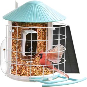 NETVUE Birdfy Smart Bird Feeder with Shield