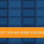 Best Solar Bird Feeders for 2026: Smart AI Camera Feeders That Never Need Charging